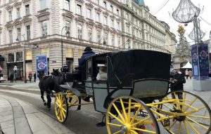 viena coche 7