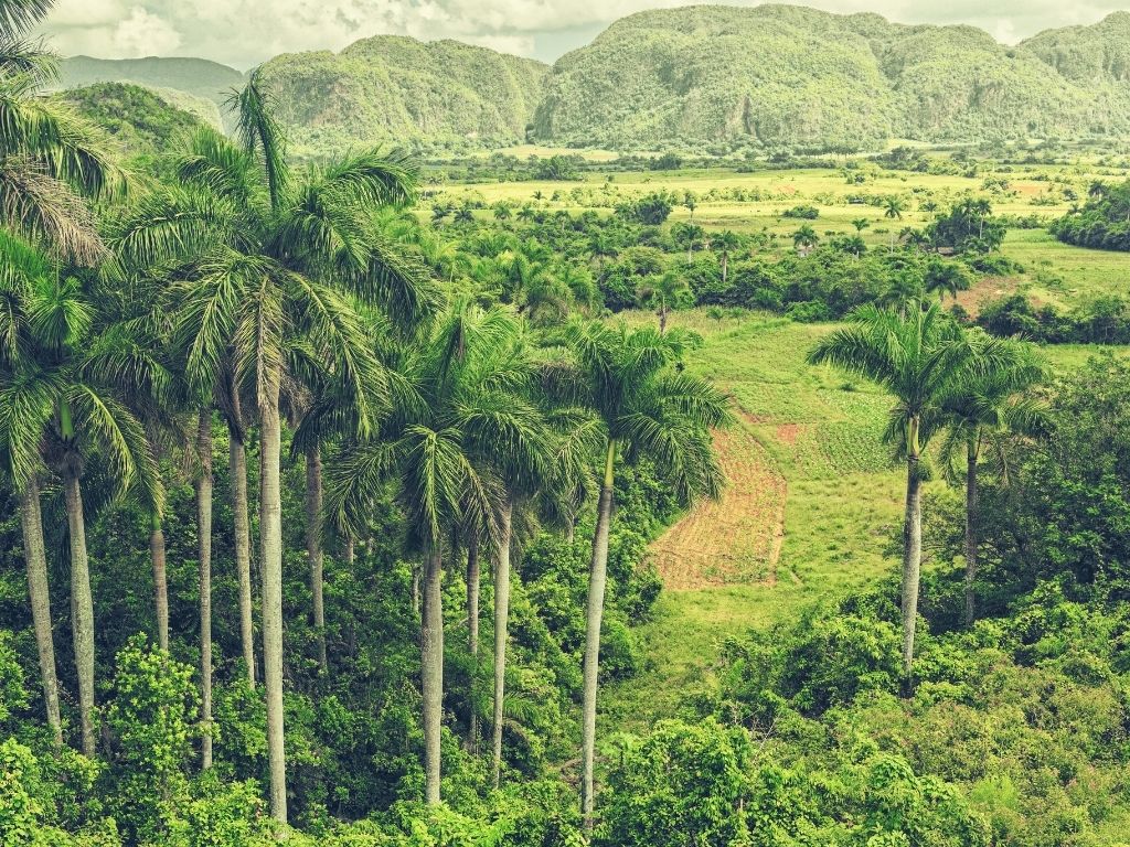 viñales
