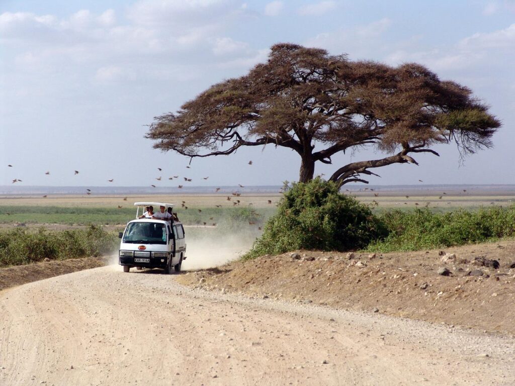 Vehículo 4x4 de safari por africa