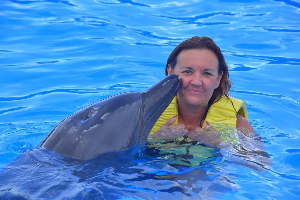 Entrenador de delfines experiencia imprescindible en riviera maya
