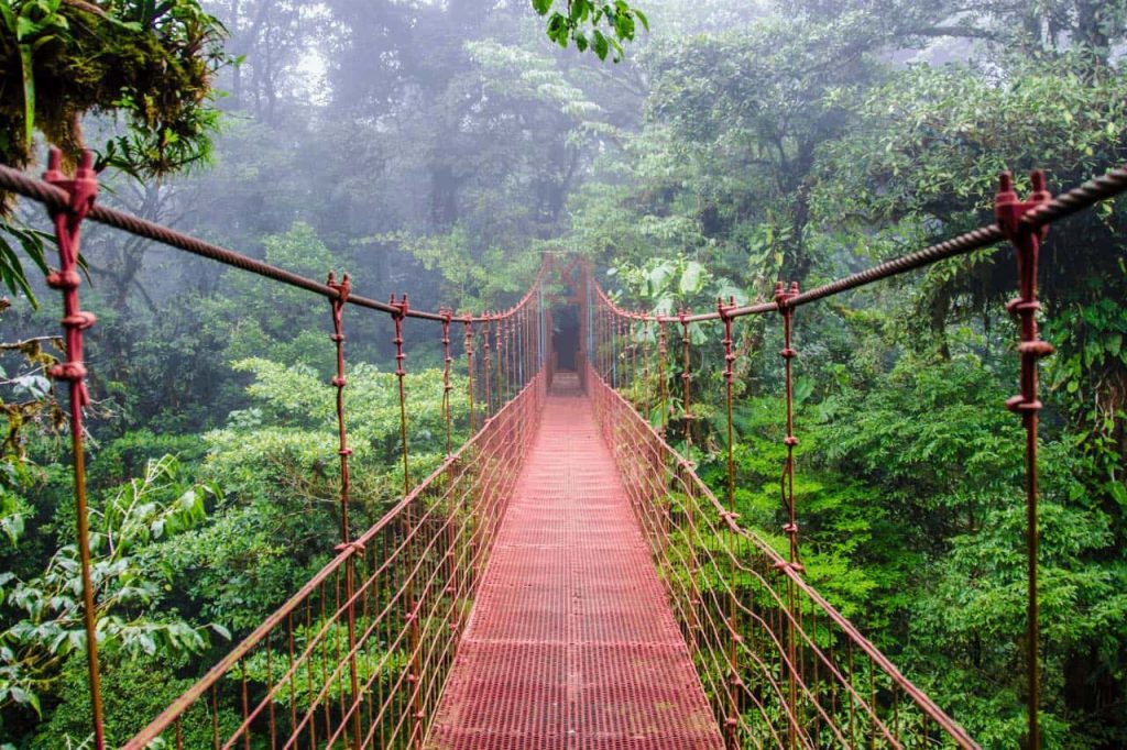 Costa Rica Puente
