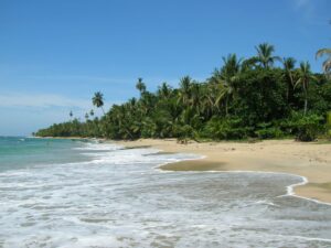 Playa Punta Uva Costa Rica