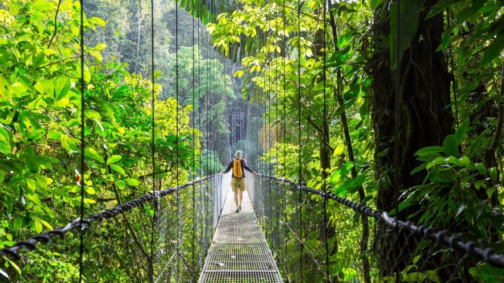 Puente colgante en los bosques de Costa Rica