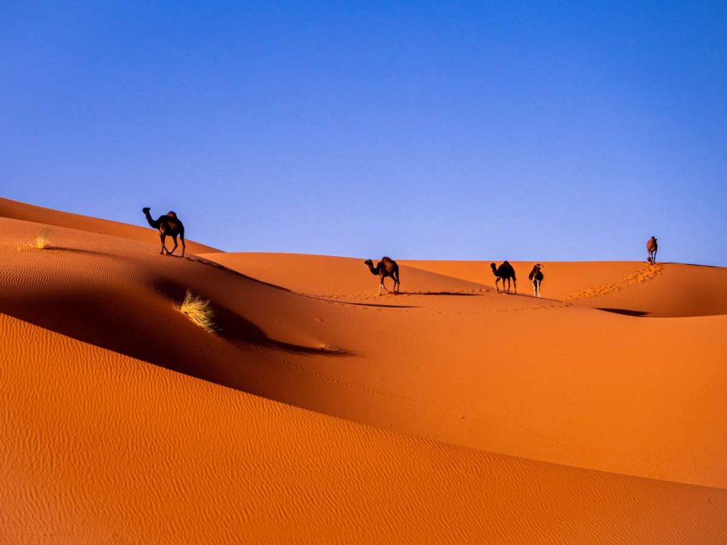 Dunas Marruecos