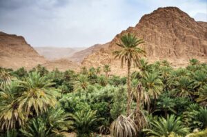 Valle del Draa Marruecos