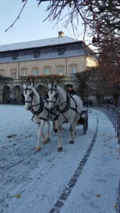 Coche de Caballos Palacio de Christiansborg