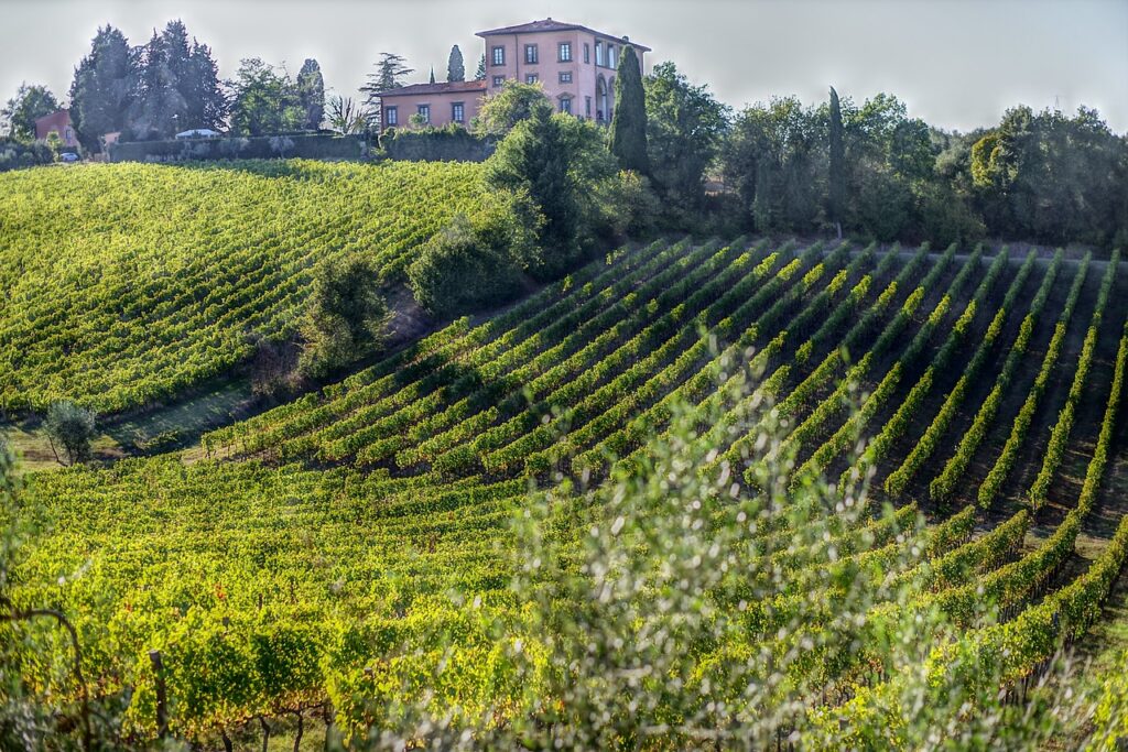 Viñedo en La Toscana, italia ideal para viajes románticos