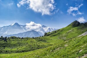 Prado alpes suizos