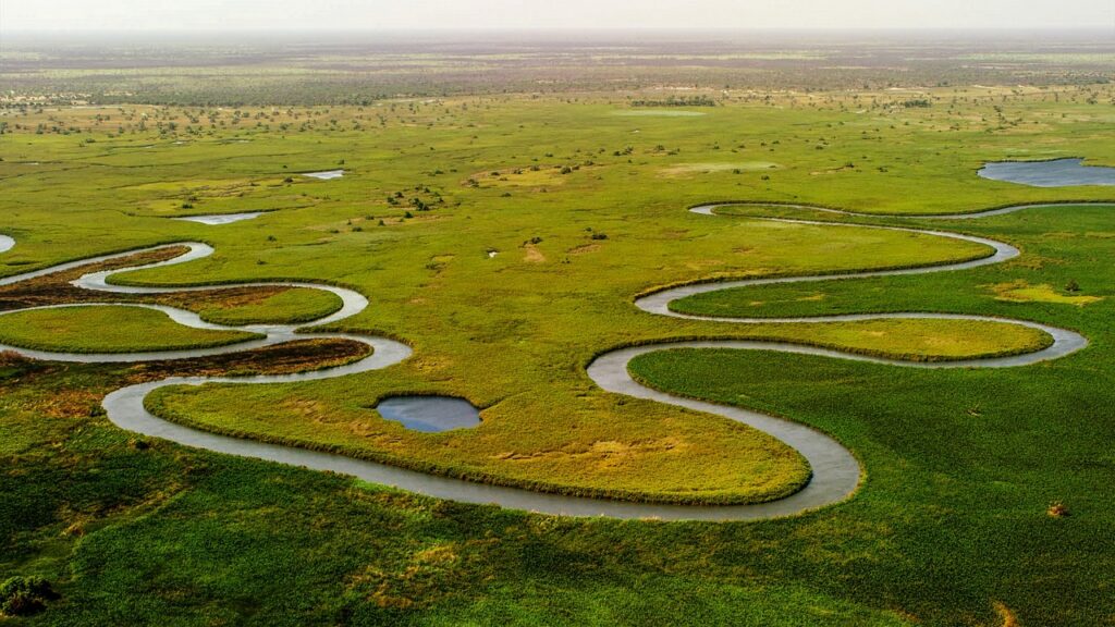 Delta del Okavango Botswana