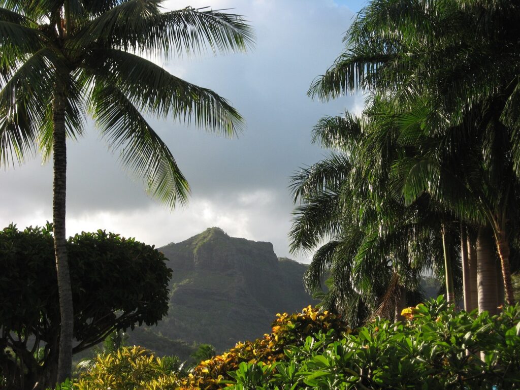 Plano general de las montañas con palmeras en primer plano en  Hawai