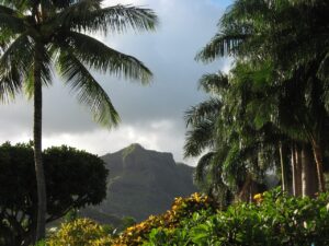 Plano general de las montañas con palmeras en primer plano en Hawai