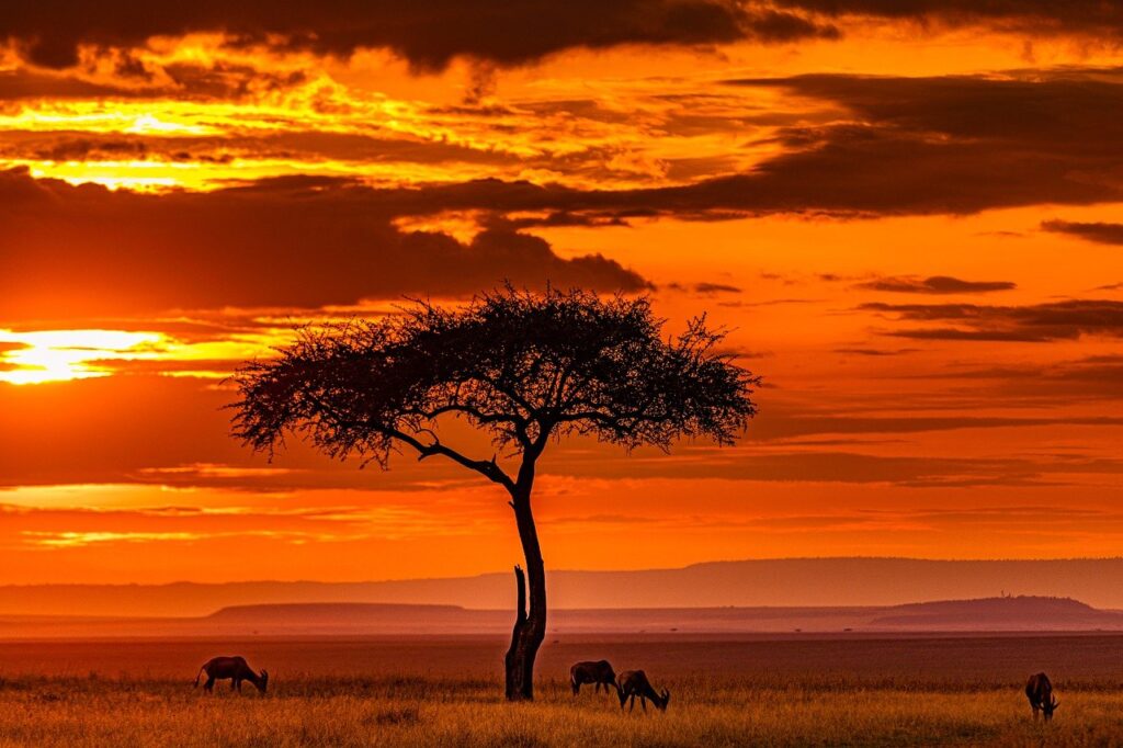 Paisaje Masai Mara Kenia