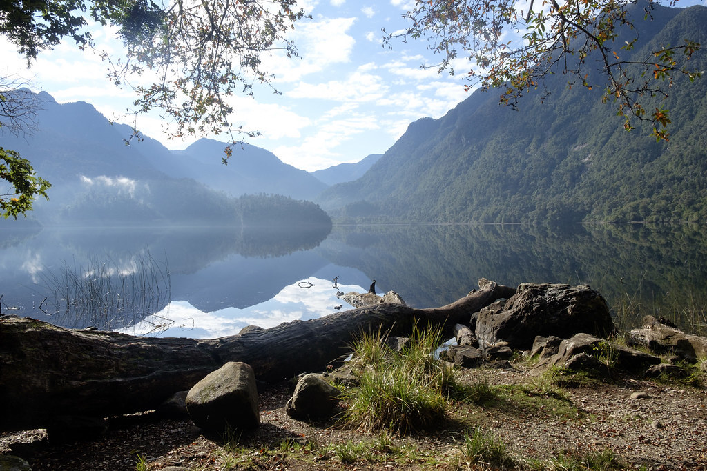 Parque Nacional Alerce Andino