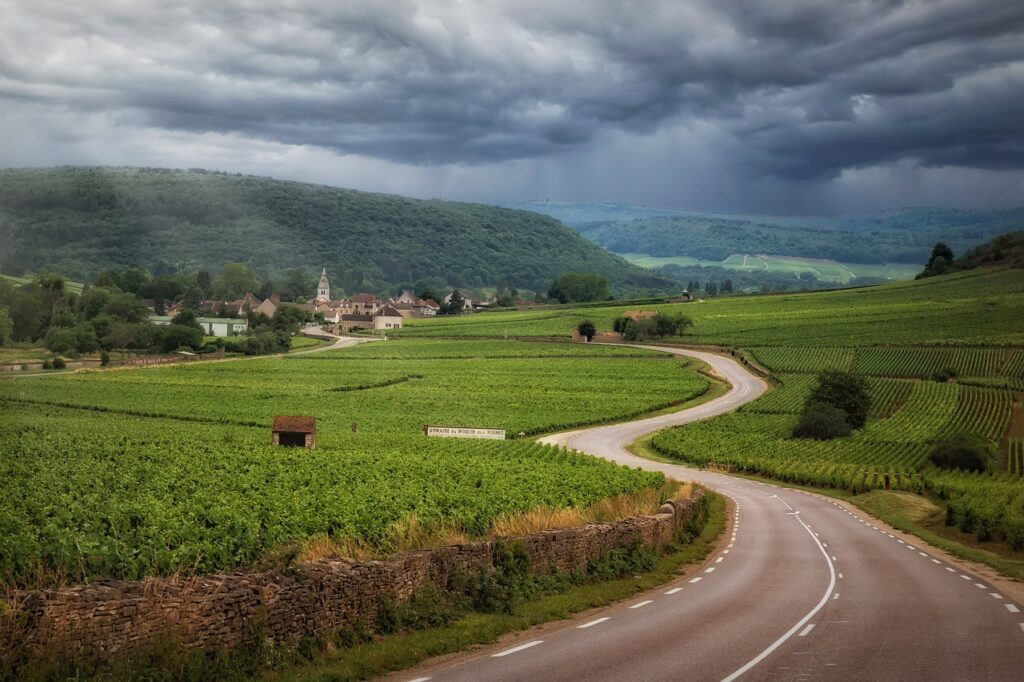 Ruta del vino Borgoña