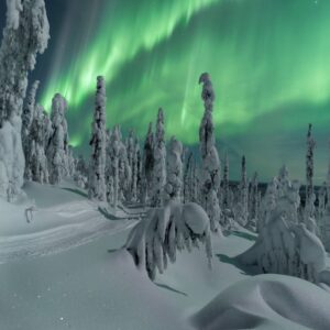 Imagen de bosque nevado en la Laponia finlandesa (Salla) con auroras borales en el cielo durante la noche