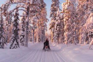 Excursión en motos de nieve por los bosques de Laponia en invierno