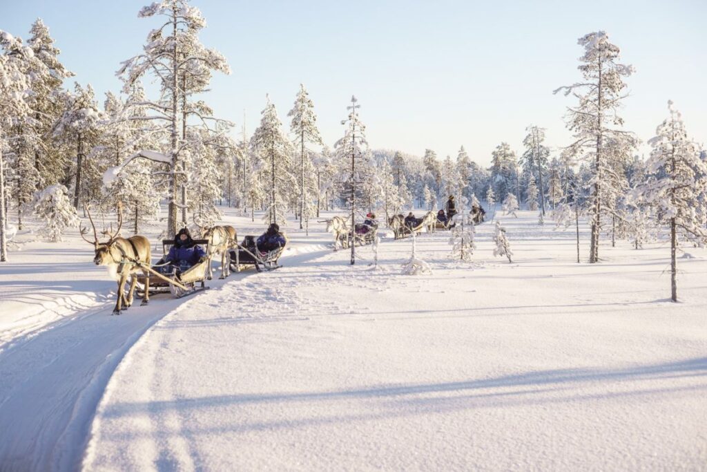 Excursión en trineo de renos en Laponia en medio de un paisaje nevado