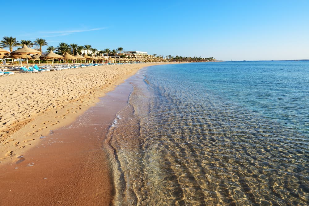 Plano general de playa con gran parte de la escena tomada por el agua cristalina del mar rojo del centro a la derecha y la arena blanca con la fila de tumbonas de un hotel de lujo a la izquiera y al fono palmeras propias de la zona que es Sharm El Sheikh en la riviera egipcia