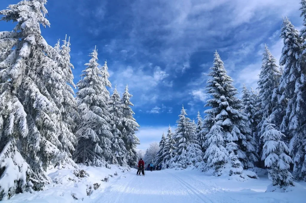 Pista de senderismo nevada en Laponia