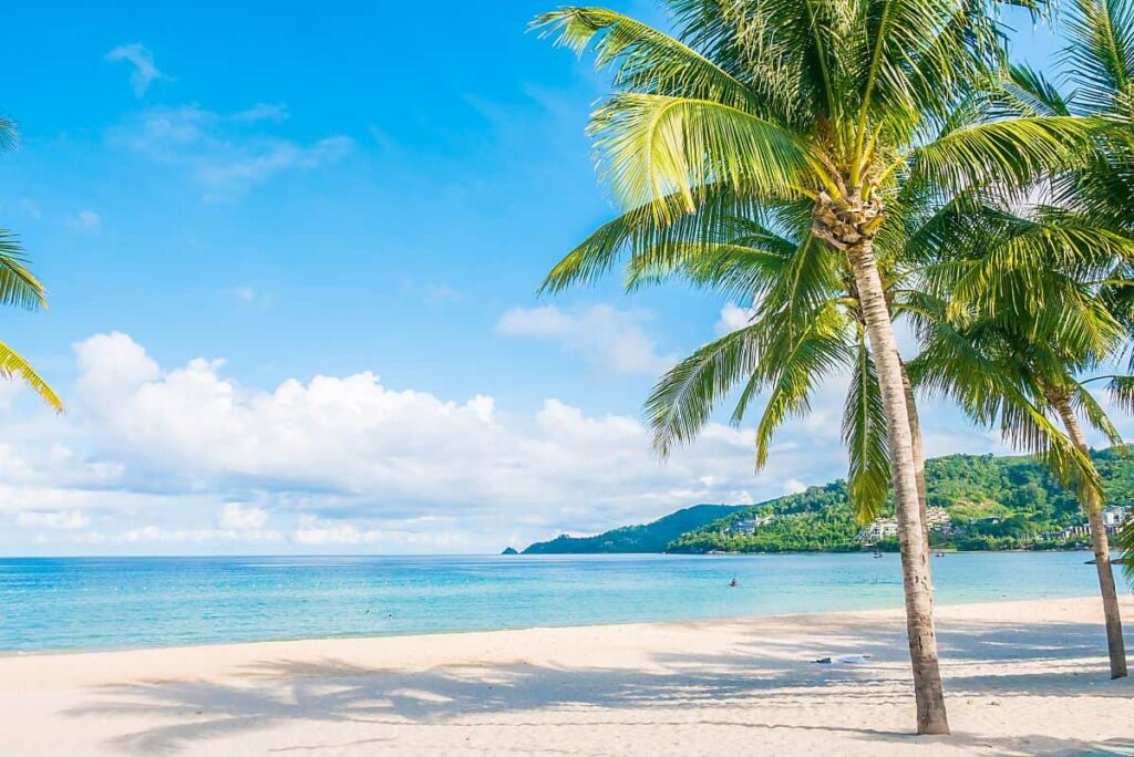 Playa tropical con palmera en primer plano, arena blanca y mar al fondo