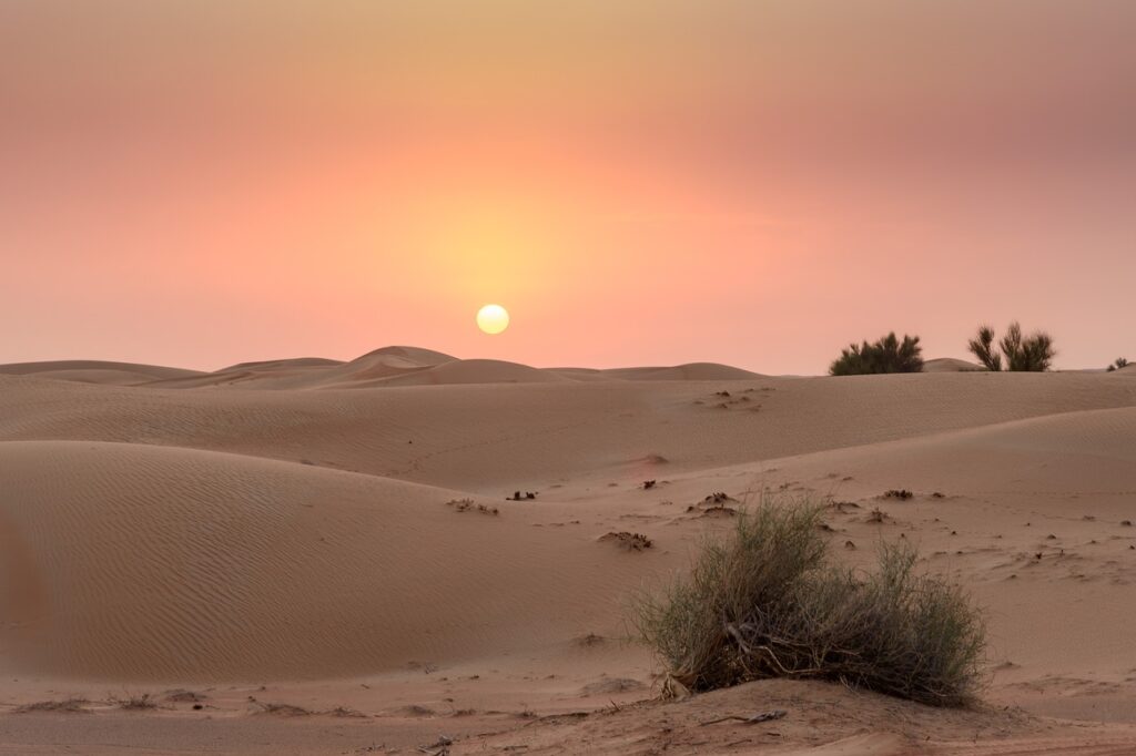 dubai, desierto