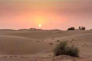 dubai, desierto