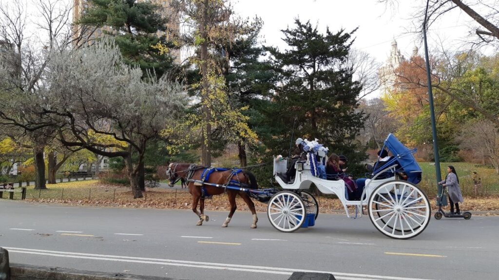Coche de caballos en Central Park, Nueva York