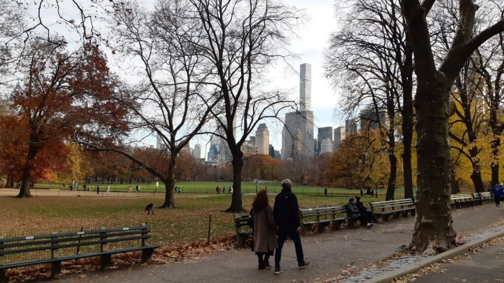 Paseo por Central Park, Nueva York