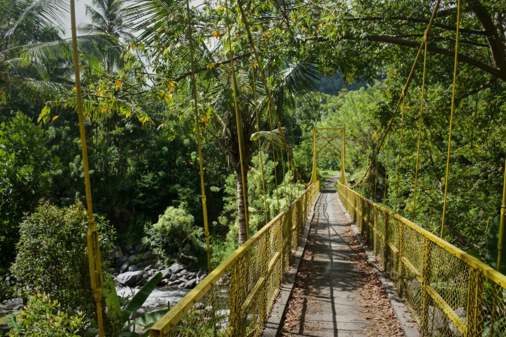 Sidemen, Bali, indonesia