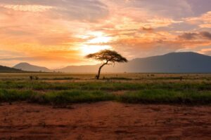 Paisaje de Kenia al atardecer