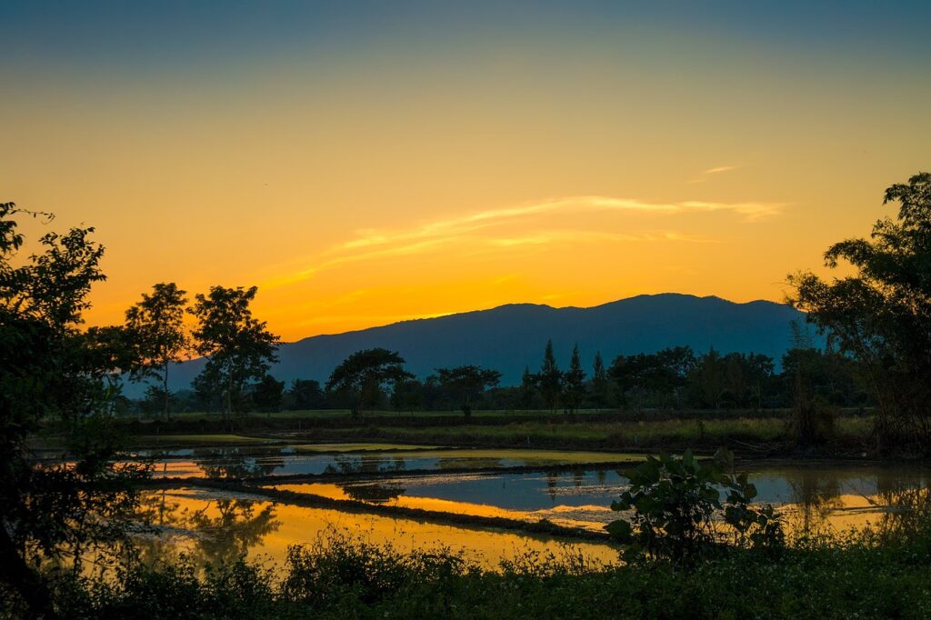 Chiang Mai