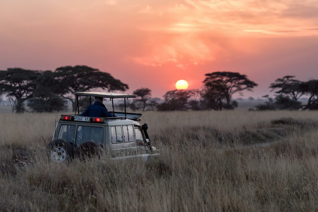 Safari de lujo en sudafrica