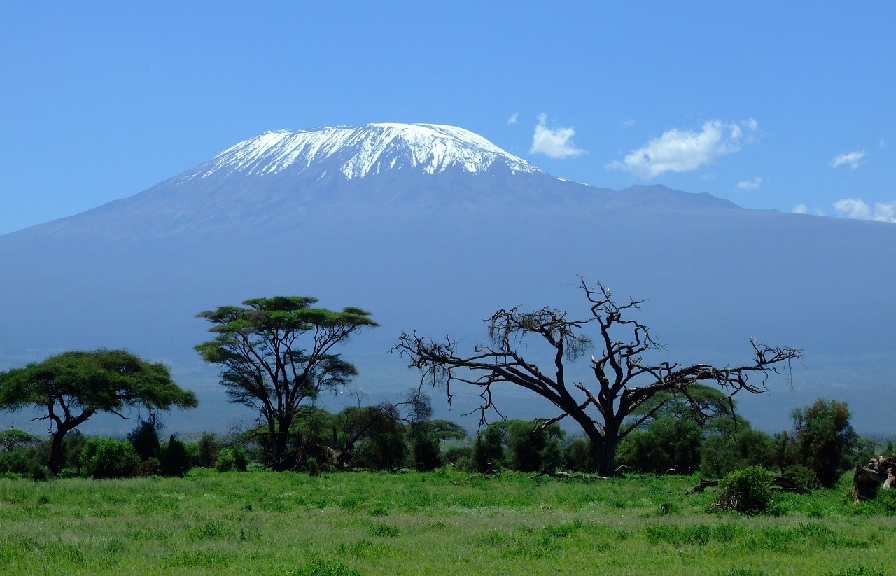 Viajar a Tanzania