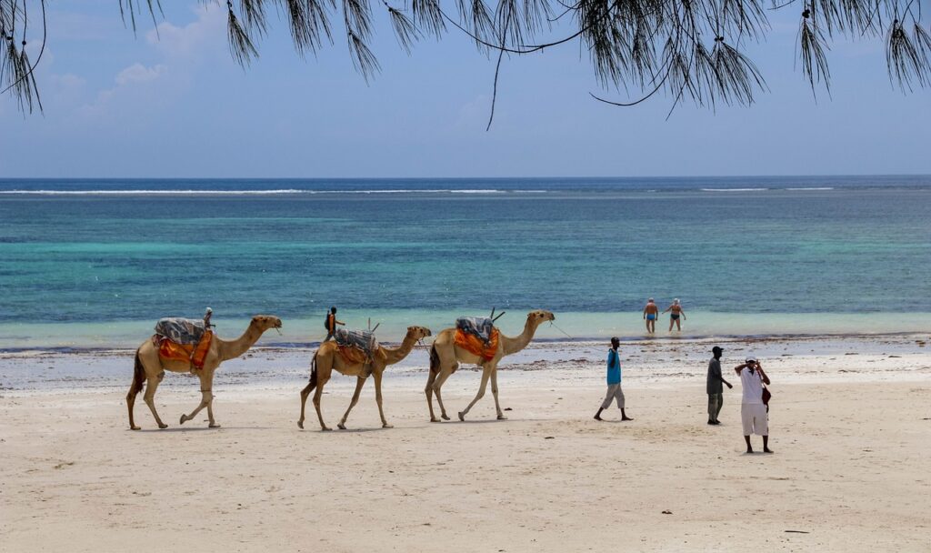 Playas de Diani, Kenia
