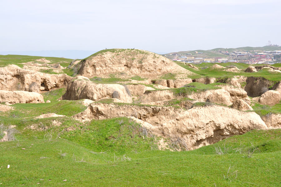 Ruinas de Afrosiab
