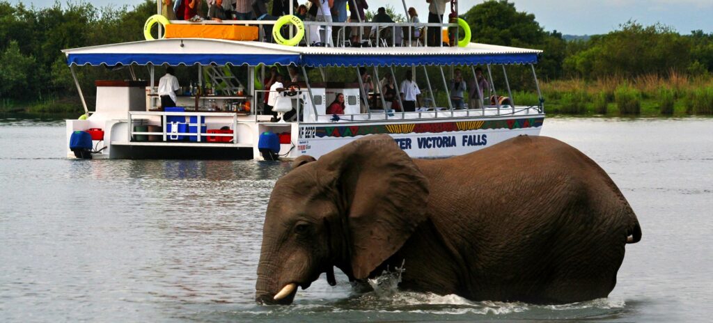 Zambezi River Cruises