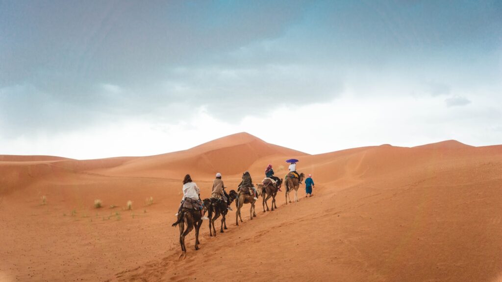 paseo en camello marruecos