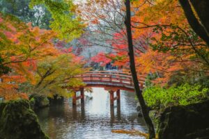 otoño en kioto