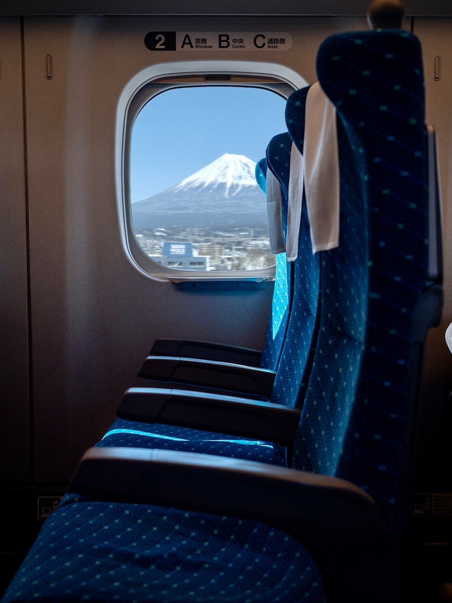 blue and white car seat
