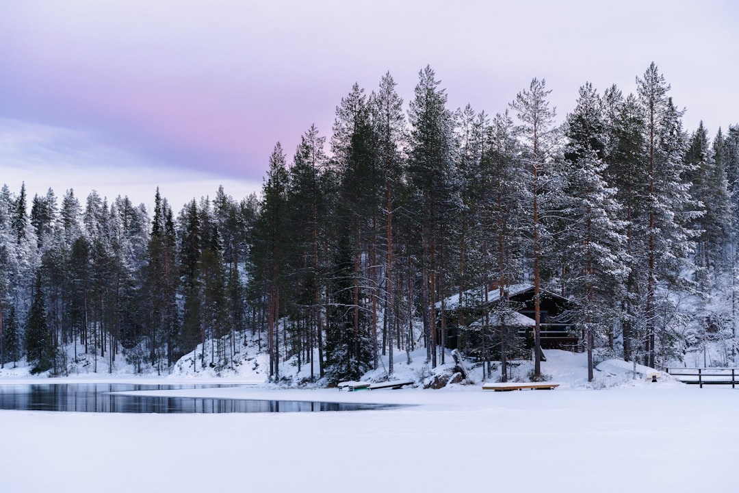 Cabaña entre bosques nevados junto a un lago helado en Laponia