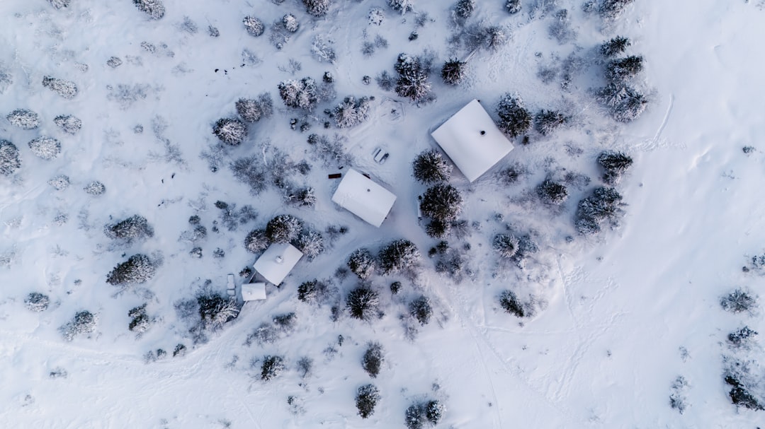 Cabañas rodeadas de bosque nevado en la Laponia finlandesa