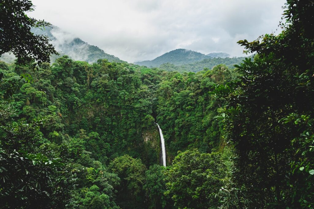 Cascada tropical rodeada de selva en Costa Rica