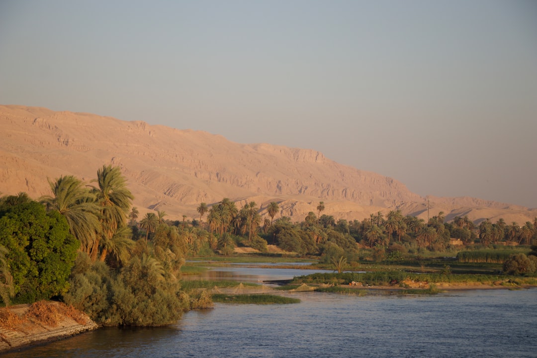 Paisaje del río Nilo con palmeras en Egipto
