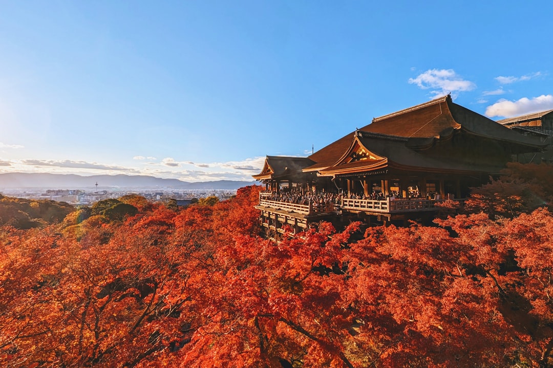 Kiyomizudera en Kioto rodeado de hojas de otoño