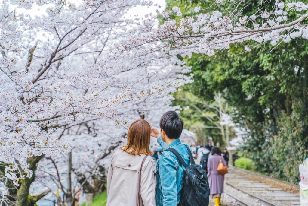 Pareja viajando por Japón durante la floración de los cerezos