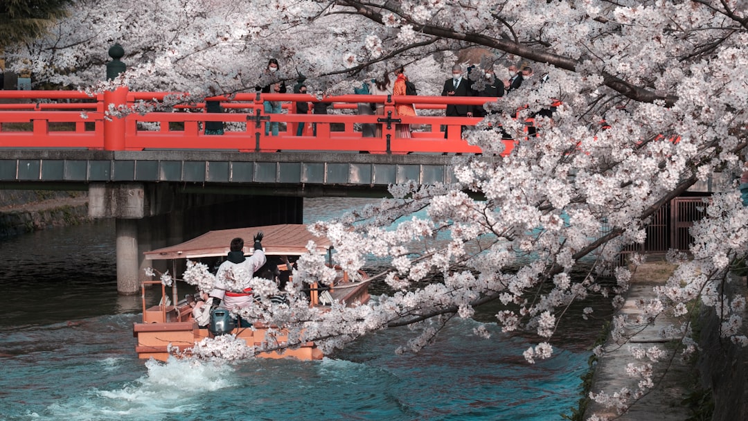 Tren recorriendo un paisaje de Japón durante una ruta en primavera