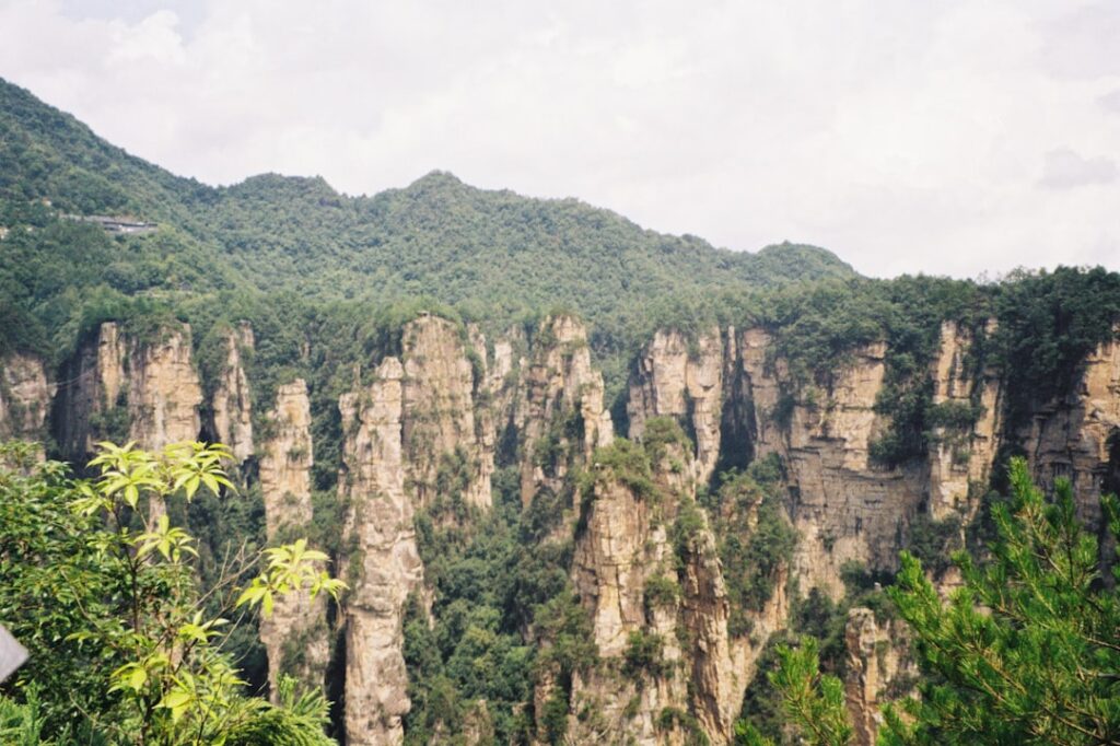 Pilares de arenisca cubiertos de vegetación en Zhangjiajie, China